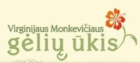 V. MONKEVIČIAUS GĖLIŲ ŪKIS V. MONKEVIČIAUS GĖLIŲ ŪKIS