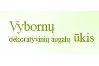 VYBORNŲ DEKORATYVINIŲ AUGALŲ ŪKIS VYBORNŲ DEKORATYVINIŲ AUGALŲ ŪKIS