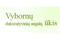 VYBORNŲ DEKORATYVINIŲ AUGALŲ ŪKIS