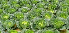 Untitled_16