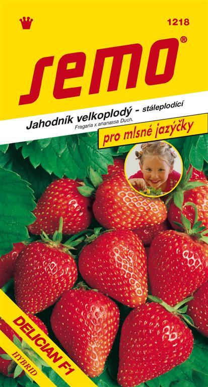 1218_jahodn_k_delician_f1_pro_mlsn___large_