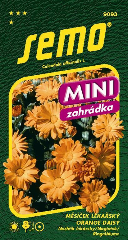 9093_mes_cek_l_karsk__orange_daisy_mini__large_
