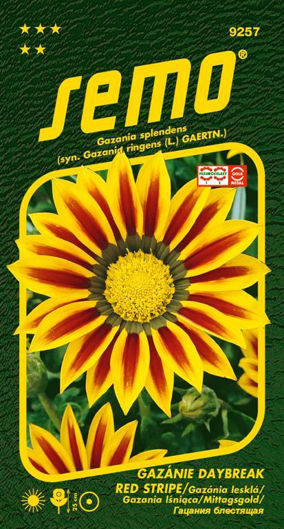 9257_gazanie_red_stripe__large_