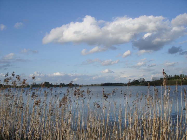 Tvenkinys