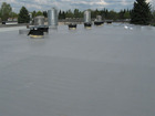 Broilerių cecho stogo šiltinimo darbai
