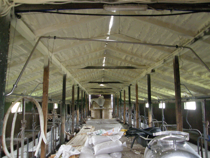Izoputos-judrenai-fermos-siltinimas-po