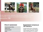 Jodinėjimo aikštelės, žirgynų aikštelės pristatymas rusų (RU) kalba 3
