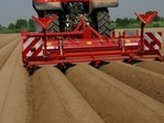 Mechanizuota bulvių auginimo technologija „Grimme“ rotacinis kaupikas GF 400 darbo metu.