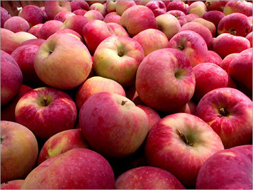 Apples