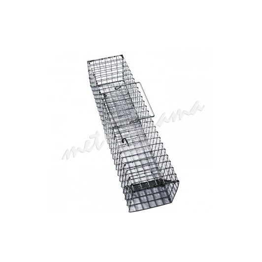 Spastai1-332x332