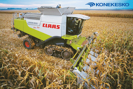 Kombainas CLAAS LEXION kukurūzų lauke