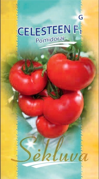 Daržovių sėklos internetu pomidorai Celesteen F1
