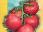 Pomidorai sėklos paštu 