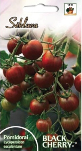 Pomidorai_black_cherry