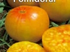 Pomidorai Ananas