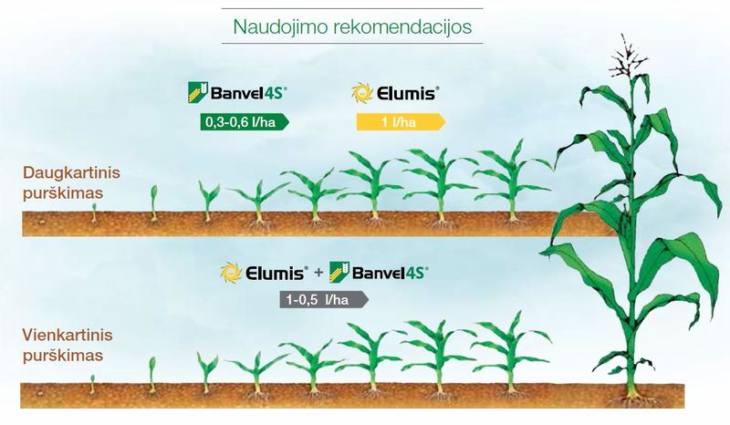 Naudojimo rekomendacijos