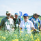 _12a4257basf