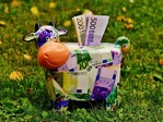 Verslo pradžiai kaime – pati paprasčiausia iki šiol parama
