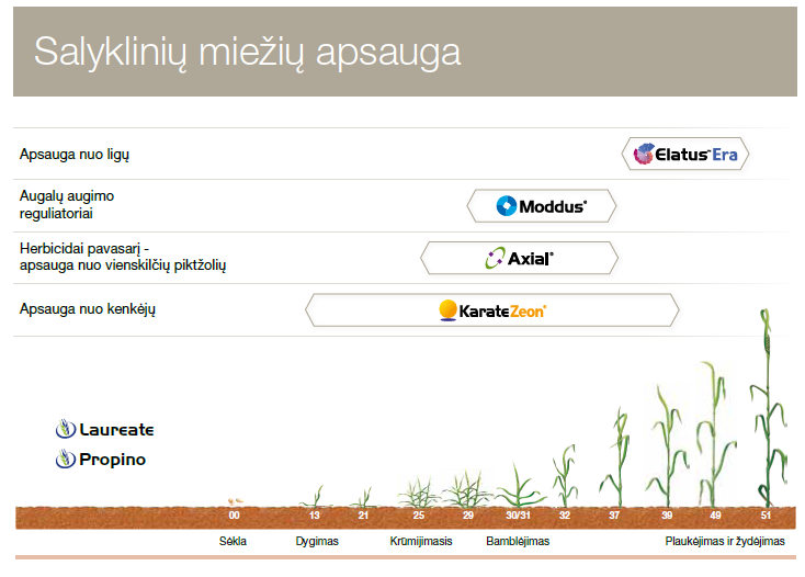 Salyklinių miežių apsauga