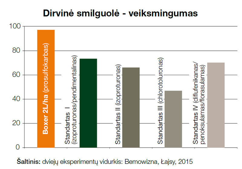 Dirvinės smilgiuolės naikinimas