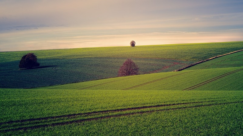 valstybinės žemės nuoma