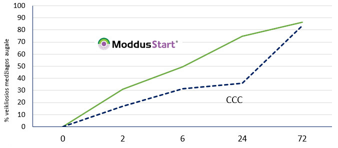 Moddus start pasklidimas augale