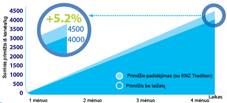 Primilžio augimas dėl laižomosios druskos