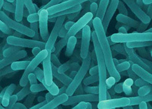 listerioze